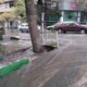 Flood-and-Runoff-Management
