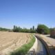 Irrigation-and-Drainage